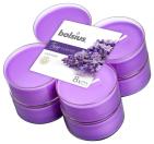 Bolsius True Scents Maxilicht Lavendel 8st