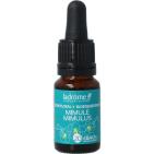 LaDrôme Mimulus bio 10ml