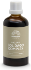 Mattisson HealthStyle Biologisch Solidago Complex Druppels 100 ML
