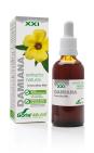 Soria Natural Turnera Diffusa XXI Extract 50 ML