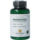 Liever Gezond Probiotica met prebiotica gember 60vc