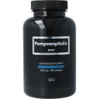 APB Holland Pompoenpitolie puur 500mg 200sft