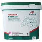 Primeval Gelatinaat paard 2kg