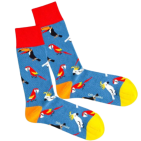 Dilly Socks Lake Aviary Sock 41-46 