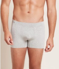 Bamboo Organic Men's Original Boxer Light Grey Maat L 2 stuks
