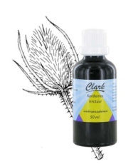 Holisan Kardiamos tinctuur 50ml