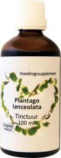 Ther Winkel Plantago lanceolata 100ml