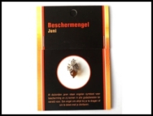 Ruben Robijn Beschermengel juni 1st