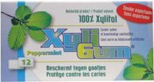Xyligum Peppermint 15 gram