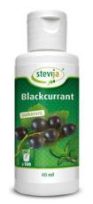 Stevija Limonadesiroop blackcurrant Bio 40ml