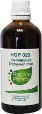 Balance Pharma Gemmoplex HGP022 Endocrien Man 100ml