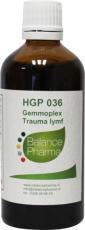 Balance Pharma Gemmoplex HGP036 Trauma Lymf 100ml
