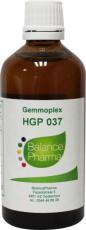 Balance Pharma Gemmoplex HGP037 Wrat Lymf 100ml