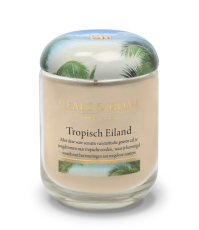  Grote Pot - Tropisch Eiland 