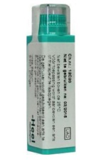 Homeoden Heel Sulphur MK 4g