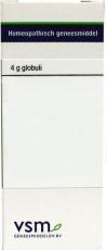 VSM Magnesium muriaticum lm30 4g