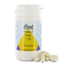 Holisan Foliumzuur 1mg 100cap