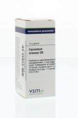 VSM Equisetum arvense D6 10g