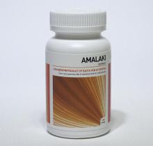 Ayurveda Health Amalaki 120tab