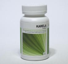 Ayurveda Health Karela Momordica 120tab