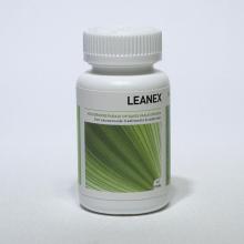 Ayurveda Health Leanex 90cap