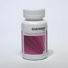Ayurveda Health Shatavari asparagus 60tab
