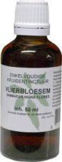 Natura Sanat Sambucus nigra / vlierbloesem tinctuur bio 50ml