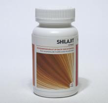 Ayurveda Health Shilajit 120 Vegicapsules