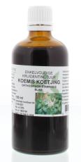 Natura Sanat Orthosiphon stamineus / koemis koetjing tinctuur 100 ML