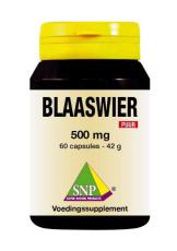 SNP Blaaswier 500 MG Puur 60 Capsules