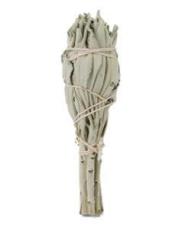 Ruben Robijn Saliebosje 12 cm 1st