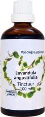 Ther Winkel Lavendula angustfolia 100ml