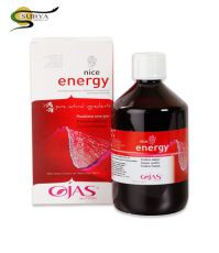 Ojas Nice energy 500ml