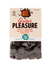 Terrasana Ginger pleasure 150g
