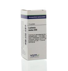 VSM Lachesis mutus D30 10g