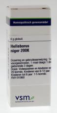 VSM Helleborus niger 200k    * 4gr