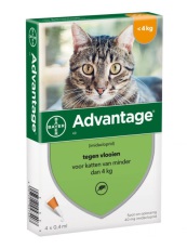 Advantage Dier Kat 40  4 Stuks 