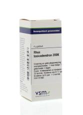 VSM Rhus toxicodendron 200K 4g