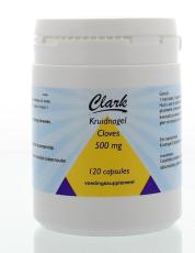 Holisan Kruidnagel/clove/lavanga 120cap
