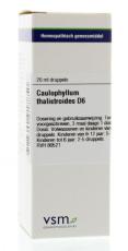 VSM Caulophyllum thalictr D6 20ml
