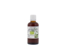 Natura Sanat Gezegende Distel Cnicus Benedictus Kruidentinctuur  50ml
