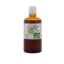 Natura Sanat Galega officinalis herb tinctuur bio 100ml