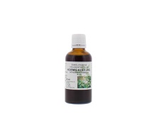 Natura Sanat Orthosiphon stamineus / koemis koetjing 50ml