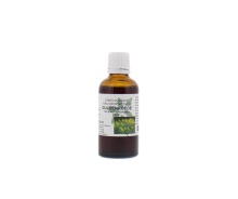 Natura Sanat Solidago virgaurea herb / guldenroede 50ml