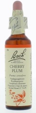 Bach Flower Remedies Kerspruim 06 20ml