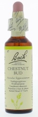 Bach Flower Remedies Kastanjeknop 07 20ml