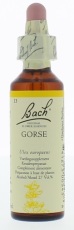 Bach Flower Remedies Gaspeldoorn 13 20ml