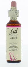 Bach Flower Remedies Lariks 19 20ml