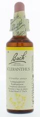 Bach Flower Remedies Hardbloem 28 20ml