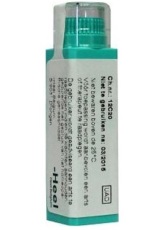 Homeoden Heel Causticum D12 4 Gram